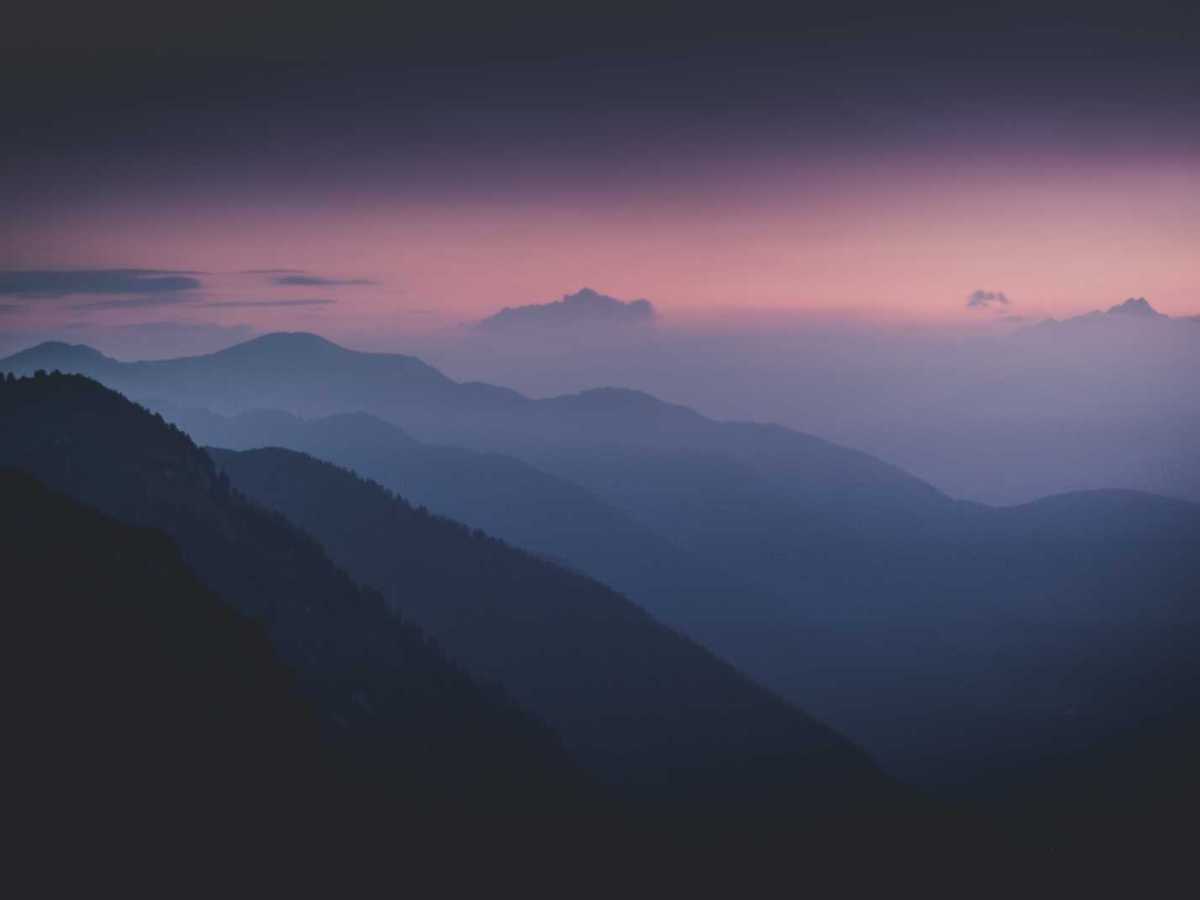 Summer of Ups and&nbsp;Dawns